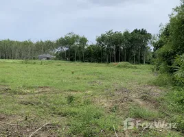  Land for sale in Pa Khlok, Thalang, Pa Khlok