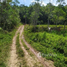  Terreno for sale in Amazonas, Balbina, Presidente Figueiredo, Amazonas