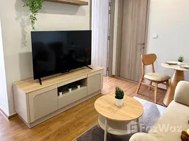 1 Bedroom Condo for rent at Cloud Thonglor-Phetchaburi, Bang Kapi
