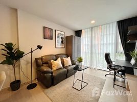 อพาร์ทเม้นท์ 1 ห้องนอน ให้เช่า ในโครงการ ควินทารา ทรีเฮาส์ สุขุมวิท 42, พระโขนง, คลองเตย, กรุงเทพมหานคร