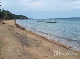 苏梅岛 Ban Tai Haad Rin Sunset Beach Plot with Buildings for Sale N/A 土地 售 