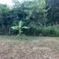  Land for sale in Mae Rim Chiang Mai, Rim Tai, Mae Rim, Chiang Mai
