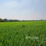  Land for sale in Khlong Luang Pathum Thani, Khlong Nueng, Khlong Luang, Pathum Thani