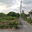  Land for sale in Saraphi, Chiang Mai, Khua Mung, Saraphi