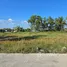  Land for sale in Bueng Nam Rak, Pathum Thani, Bueng Nam Rak, Thanyaburi, Pathum Thani