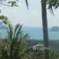 ขายที่ดิน ใน ตลิ่งงาม, สุราษฎร์ธานี, ตลิ่งงาม, เกาะสมุย, สุราษฎร์ธานี