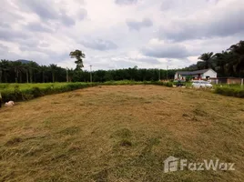  Grundstück zu verkaufen in Mueang Krabi, Krabi, Nong Thale, Mueang Krabi, Krabi, Thailand