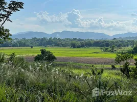 ขายที่ดิน ใน ป่าซาง, เชียงราย, ป่าซาง, แม่จัน