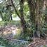  Land for sale in Samut Prakan, Bang Sao Thong, Bang Sao Thong, Samut Prakan