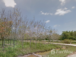  Land for sale in Nakhon Si Thammarat, Khuan Koei, Ron Phibun, Nakhon Si Thammarat