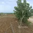  Terreno (Parcela) en venta en Puerto Plata, San Felipe De Puerto Plata