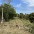  Land for sale in Nong Sarai, Nakhon Ratchasima, Nong Sarai, Pak Chong