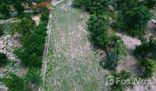 N/A Grundstück zu verkaufen in Nam Phrae, Chiang Mai 