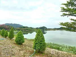 ขายที่ดิน ใน ดอยหล่อ, เชียงใหม่, ดอยหล่อ, ดอยหล่อ, เชียงใหม่