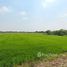  Land for sale in Thailand, Sai Kong Din, Khlong Sam Wa, Bangkok, Thailand