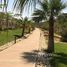 4 Habitación Villa en venta en Palm Hills Kattameya, El Katameya, New Cairo City, Cairo