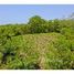  Terrain for sale in Roatan, Bay Islands, Roatan