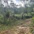  Land for sale in Chalong, Phuket Town, Chalong