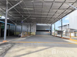在FazWaz.cn出租的 大商店, Si Sunthon, 塔朗, 普吉, 泰国