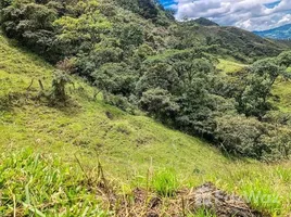  Terrain for sale in Équateur, Loja, Loja, Loja, Équateur