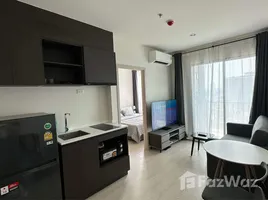 1 Bedroom Condo for rent at Nue Noble Ratchada-Lat Phrao, Chantharakasem, Chatuchak, Bangkok, Thailand