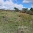  Land for sale in Guaimaca Francisco Morazan, Guaimaca, Francisco Morazan, Honduras