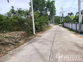 ขายที่ดิน ใน เกาะสมุย, สุราษฎร์ธานี, ตลิ่งงาม, เกาะสมุย