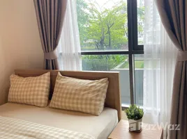 1 Bedroom Condo for rent at Life Sukhumvit 48, Phra Khanong, Khlong Toei, Bangkok, Thailand