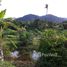  Land for sale in Thalang, Phuket, Pa Khlok, Thalang