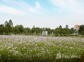 Studio Condo for sale at The Phoenix Garden, Dan Phuong, Dan Phuong, Hanoi