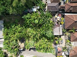  Grundstück zu verkaufen in Tabanan, Bali, Tabanan, Tabanan, Bali