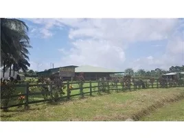  Grundstück zu verkaufen in San Ramon, Alajuela, San Ramon