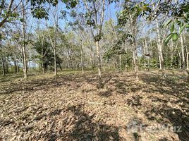  Land for sale in Chiang Rai, Wiang, Wiang Pa Pao, Chiang Rai