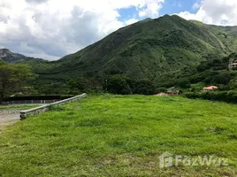  Grundstück zu verkaufen in Loja, Loja, Vilcabamba Victoria, Loja