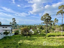  Grundstück zu verkaufen in Koh Samui, Surat Thani, Maenam