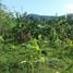  Terreno (Parcela) en venta en Puerto Plata, San Felipe De Puerto Plata