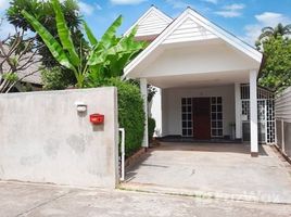 3 спален Дом for rent in Чианг Маи, Pa Phai, Сан Саи, Чианг Маи