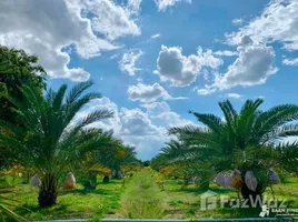  Grundstück zu verkaufen in Nong Ya Sai, Suphan Buri, Nong Ya Sai, Nong Ya Sai, Suphan Buri