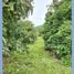  Land for sale in Thailand, Mae O, Phan, Chiang Rai, Thailand