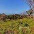  Terrain for sale in Bay Islands, Utila, Bay Islands