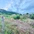  Земельный участок for sale in Нонг Кае, Хуа Хин, Нонг Кае, Хуа Хин, Прачуап Кири Кхан
