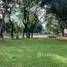  Grundstück zu verkaufen in Chang Khlan, Chiang Mai, Chang Khlan, Mueang Chiang Mai, Chiang Mai