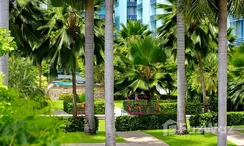 Photo 2 of the Communal Garden Area at Bangkok Garden
