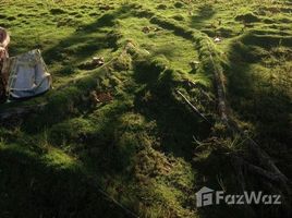  Grundstück zu verkaufen im Balneário Praia do Pernambuco, Pesquisar