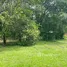  Terreno (Parcela) en venta en Costa Rica, Pococi, Limón, Costa Rica