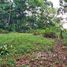  Land for sale in Puntarenas, Aguirre, Puntarenas