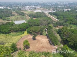 Land for sale in Chiang Mai, Tha Wang Tan, Saraphi, Chiang Mai