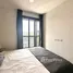 1 Bedroom Condo for rent at THE BASE Central Phuket, Wichit, Phuket Town, Phuket