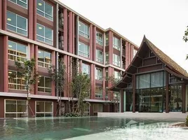D Vieng Santitham에서 임대할 1 침실 아파트, Chang Phueak, Mueang Chiang Mai