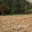  Terreno (Parcela) en venta en Chiang Rai, Pong Pha, Mae Sai, Chiang Rai